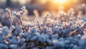 Voici les plantes à ne surtout pas tailler en automne et en hiver